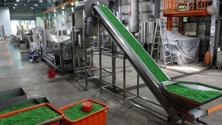 3. Transportador de Alimentación